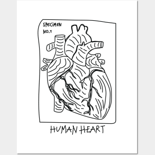 Human Heart Posters and Art